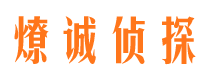 武定侦探